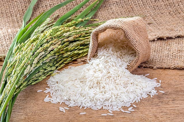 Giá lúa gạo ngày 21/05: Liên tục điều chỉnh tăng với mức từ 50 – 200 đồng/kg